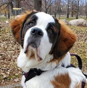 Meet your Posher, Casey